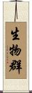 生物群 Scroll