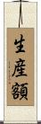 生産額 Scroll