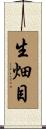 生畑目 Scroll