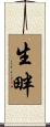 生畔 Scroll