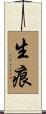 生痕 Scroll