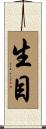 生目 Scroll