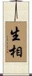 生相 Scroll