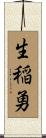 生稲勇 Scroll