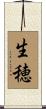 生穂 Scroll