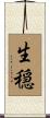 生穏 Scroll