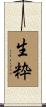 生粋 Scroll