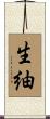 生紬 Scroll