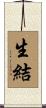 生結 Scroll