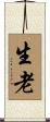 生老 Scroll