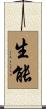生能 Scroll