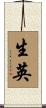 生英 Scroll