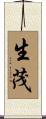 生茂 Scroll
