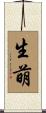 生萌 Scroll
