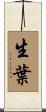 生葉 Scroll