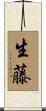 生藤 Scroll