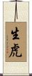 生虎 Scroll