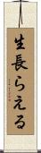 生長らえる Scroll
