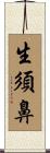 生須鼻 Scroll