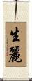 生麗 Scroll