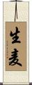 生麦 Scroll