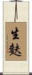 生麩 Scroll
