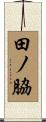 田ノ脇 Scroll