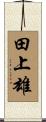 田上雄 Scroll