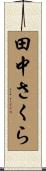田中さくら Scroll