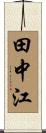 田中江 Scroll