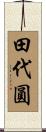 田代圓 Scroll