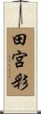 田宮彩 Scroll