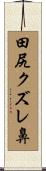 田尻クズレ鼻 Scroll