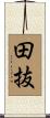 田抜 Scroll