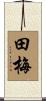 田梅 Scroll