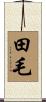 田毛 Scroll