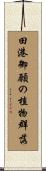 田港御願の植物群落 Scroll