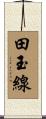 田玉線 Scroll