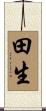 田生 Scroll
