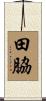 田脇 Scroll