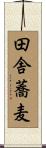 田舎蕎麦 Scroll