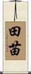 田苗 Scroll