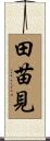 田苗見 Scroll