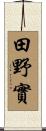 田野實 Scroll