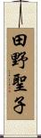 田野聖子 Scroll