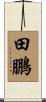 田鵬 Scroll