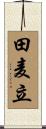 田麦立 Scroll