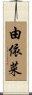 由依菜 Scroll