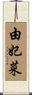 由妃菜 Scroll