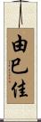 由巳佳 Scroll